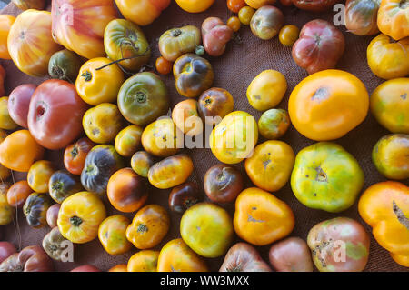 Colorful tomatoes yellow, green and red laying on a tarp on an open farmers market Stock Photo