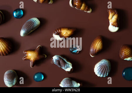Assorted Chocolate pralines with sea concept on brown background. Copy space. Stock Photo