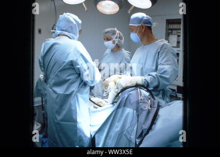 Surgeons performing knee replacement  in sterile surgical scene.
