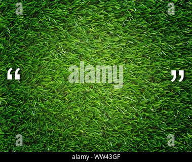 Quotation mark and copy space on green grass background, communication concept Stock Photo