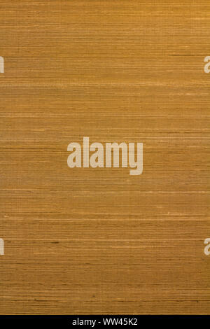 brown striped texture wallpaper as background multiple used Stock Photo