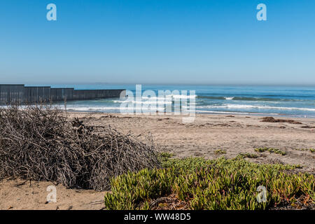 Foliage on Border Field State Park beach with the international border wall separating San Diego, California and Tijuana, Mexico in the distance. Stock Photo