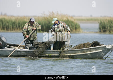 Fishermen on the Po River Po Valle de Gorino Delta Italy Stock Photo