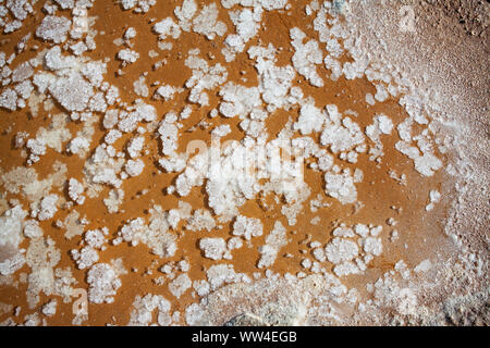 Salt Puddle Salt crystals formed on drying out puddle beside the Stagno di Cagliari ...