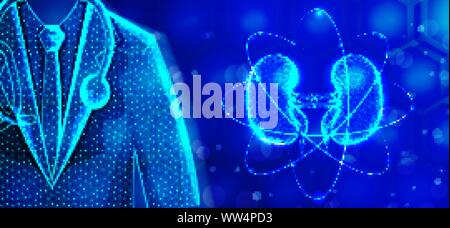Kidney Doctor Specialist .Human Anatomy .Abstract Low Poly designs. Wireframe mesh background. Vector Illustration Stock Vector