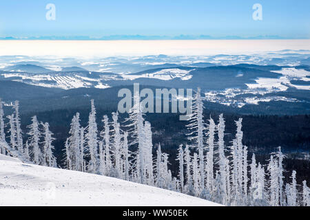 View from the Lusen in winter, in the back the Alps, Bavarian Forest National Park, Lower Bavaria, Bavaria, Germany Stock Photo