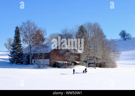 Winter landscape near Buchenberg, upper AllgÃ¤u, AllgÃ¤u, Swabia, Bavaria, Germany Stock Photo