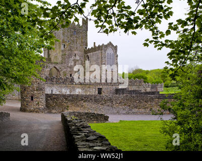 Ireland, County Wexford, Tintern Abbey on Hook peninsula, Cistercian monastery from the 12th century Stock Photo