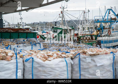 Bags with empty scallop shell for processing and boats for catching scallops Stock Photo
