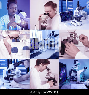 Scientists and technicians work with various microscopes performing microscopic analysis of plant, animal or human tissue Stock Photo