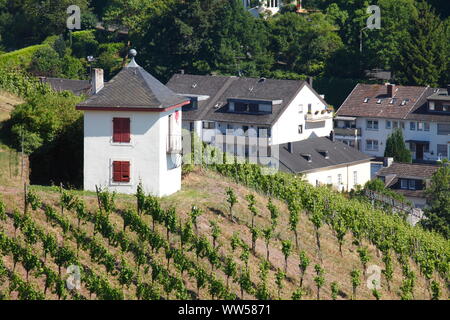 Turret at the Petrisberg, vineyard, residential houses, Trier, Rhineland-Palatinate, Germany, Europe Stock Photo