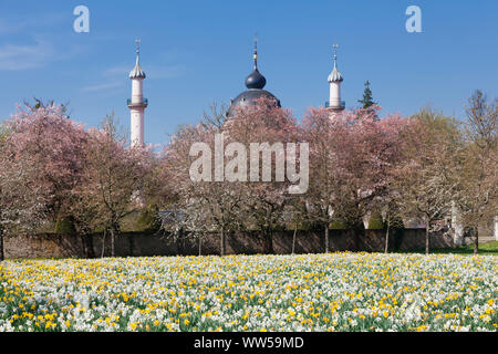 Germany, Baden-Wuerttemberg, Schwetzingen, mosque in the castle garden, spring Stock Photo