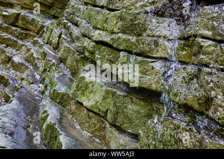 Layered slabs of Triassic limestone in the Alps, with equidistant layer thicknesses, and a spring runner, selective focus Stock Photo