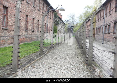 Electric barbed wire fence with barracks, death camp Auschwitz I, Auschwitz, Lesser Poland, Poland, Europe Stock Photo