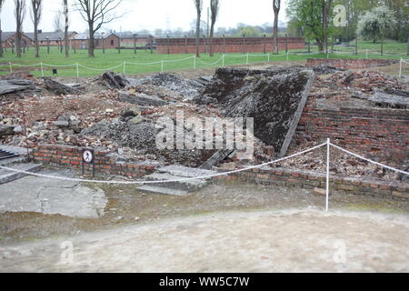 Ruins of a destroyed gas chamber, death camp Auschwitz II-Birkenau, Auschwitz, Lesser Poland, Poland, Europe Stock Photo