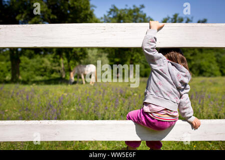 4-6 years old child sitting on white wooden fence and looking at a horse on the pasture Stock Photo