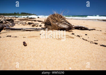 Driftwood on lonesome beach, Kauai, Hawaii, USA Stock Photo