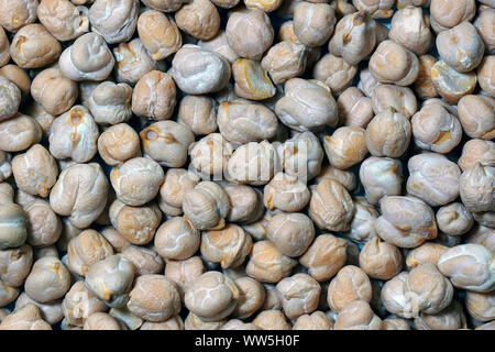 Chickpea,  Cicer arietinum, Close up of dried pulses. Stock Photo