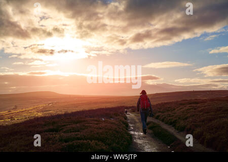 A vibrant dramatic sunset over Bolts Law and Edmundbyers with a hiker walking along a dirt track with their dog. Stock Photo