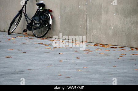 Photography of a bicycle on a concrete platform in autumn,