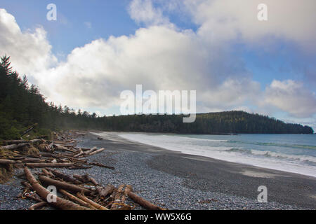 Deserted gravel beach full of trunks and flotsam, forest, sea, sky, Cape Scott Provincial Park, British Columbia, Canada Stock Photo