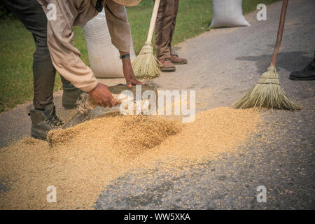Workers sweeping rice laid out on the street to dry, Stock Photo