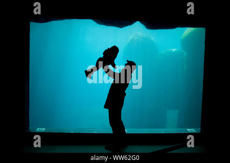 Father playing with son in the zoo Hagenbeck, silhouette in front of aquarium Stock Photo