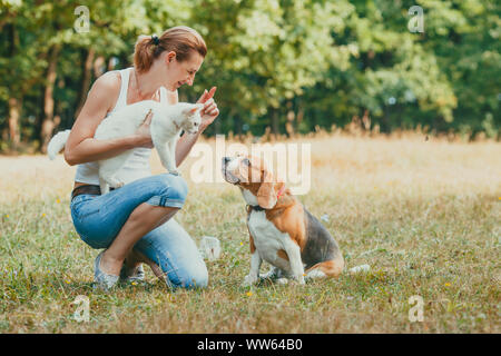 Attractive female pet owner kneeling on grass, hoding her white fluffy cat and training her Beagle dog to cohabitate Stock Photo