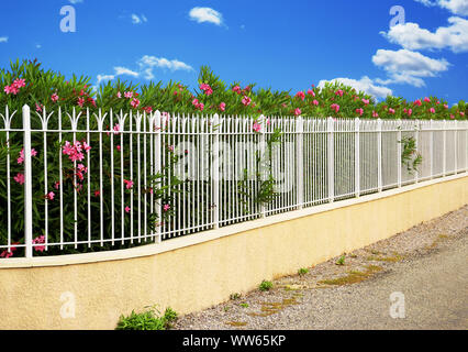 Fence grid surmounting a wall in front of a flowering oleander hedge. Stock Photo