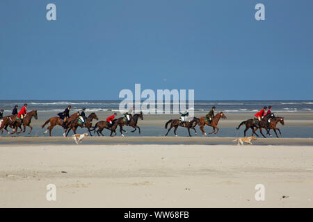 Riders with dogs on the north beach of the island Norderney. Stock Photo