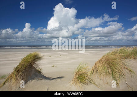 Cumulus clouds above the north beach of the island Langeoog. Stock Photo