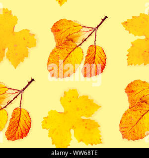 A seamless autumn pattern with vibrant yellow and orange fall leaves on a faded yellow background, an autumnal repeat print, toned image Stock Photo