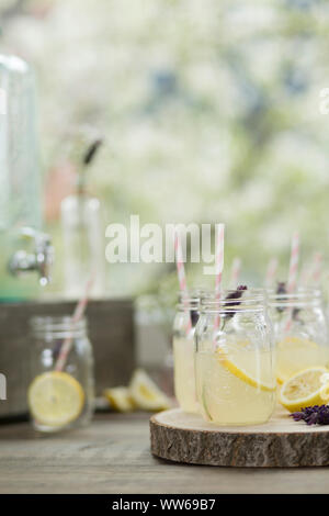 Mason Jars, soda fountain, lemonade, lavender, lemons Stock Photo