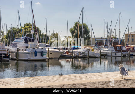 Germany, Mecklenburg-Vorpommern, Schwerin, seagull on jetty in front of boats Stock Photo