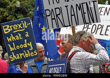 Brexit protests London September 2019, close up of people with signs, man with head in hands