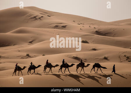 Camel trek in the northern Sahara, Morocco Stock Photo