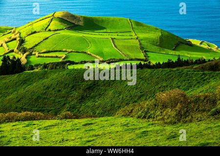 Landscape impression, Sao Miguel, Azores, Portugal Stock Photo