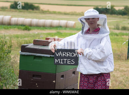 A female beekeeper is holding a slate with the text 'VARROA MITES' in front of a hive. Stock Photo
