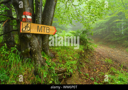 Hiking guide mark  and bike route signboard  on beech three, pointing bike path through foggy forest Stock Photo