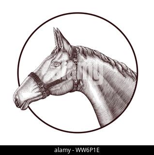 Logo of horse head in circle hand draw vintage engraving style isolated on white background, Horse farm logo concept Stock Vector