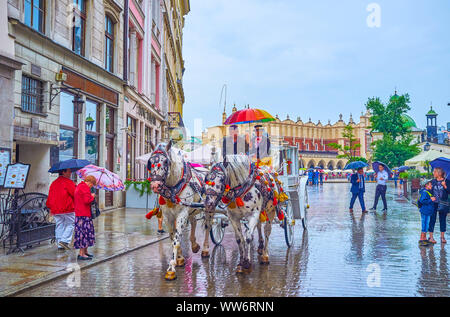 KRAKOW, POLAND - JUNE, 13, 2018: The carriage harnessed with two Knabstrupper breed horses rides under the rain in historical center of the city, on J