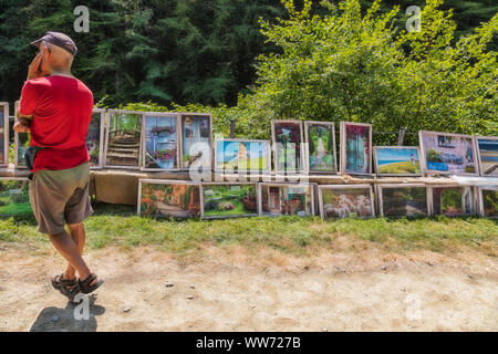 Engelskirchen, Germany - June 30, 2019: Pictures sale on a garden market in Engelskirchen - Germany Stock Photo