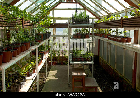 Garden, greenhouse, Belgrade, Serbia Stock Photo