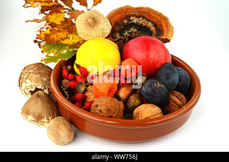 Autumn decoration - fall in a ceramic bowl - - fruit, fall leaves, acorns, nuts and mushrooms Stock Photo