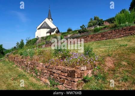 Garden and old Church of Saint Denis, Igel on the Moselle River near Trier, Rhineland-Palatinate, Germany Stock Photo