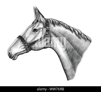 Illustration of horse head hand draw vintage engraving style black and white clip art isolated on white background Stock Vector