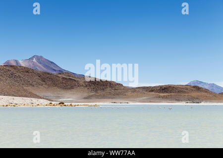 Bolivia, Eduardo Abaroa Andean Fauna National Reserve, landscape, lake Stock Photo
