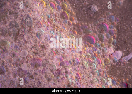 Iridescent sea foam bubbles forming colorful patterns at Honeymoon Island, Florida. Stock Photo
