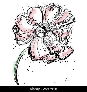 Abstract flowers, Poppies isolated, Hand drawn illustration, sketch Stock Vector