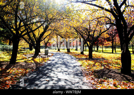 Autumn in Brooklyn Botanic Garden Stock Photo